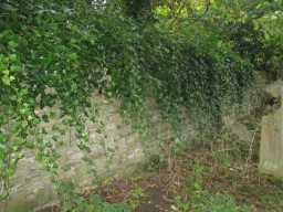 All Saints' Church, Durham Road, Lanchester © DCC 2016